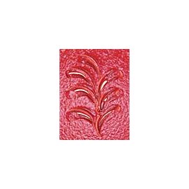 Vernice vetrificante